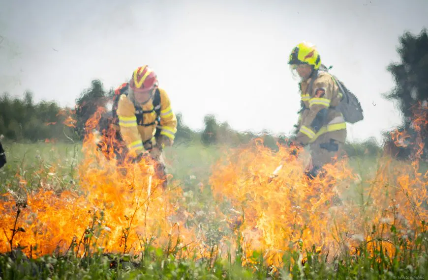 Wildfires are Europe’s new normal: why we urgently need to act
